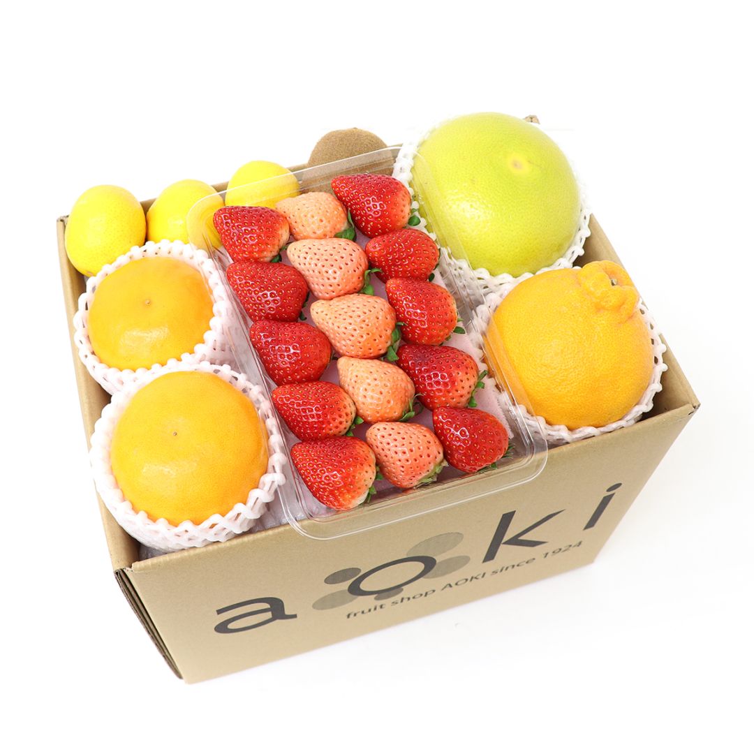 送料込】マイスターセレクト！ 旬のお楽しみフルーツBOX プレミアム