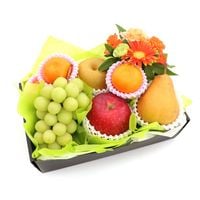 ۸ʡե롼ġեեȣ  㥤ޥå ߤ    ʥء