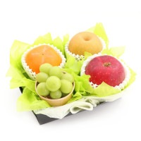 ۡڤ£۸ʡե롼ĥեȣ 㥤ޥå    ʥء