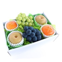 ۡڤ£۸ʡե롼ĥեȣ 㥤ޥå  ֤֤ɤ  ʥء