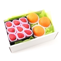 ���������ۡ�����ȯ���ġۿ��� �ե롼�ĥ��ե�B ������ �Ȥޤɤ�� �ʥ������ء� 