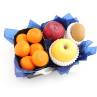 ���������ۡ�����ȯ���ġۤ������������ߥե롼�ĥ��ե�A �������ե롼�� �ߤ��� ��� �ʥ������ء�