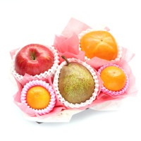 ���������ۡڤ�£���۸�ʡ�ե롼�ĥ��եȣ� �ߤ��� ��� �� ���� �ʾﲹ�ء�