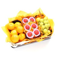 ���������ۡڤ�£���۸�ʡ�ե롼�ĥ��եȣ�  ������ ���㥤��ޥ����å� �ߤ��� �ʥ������ء�