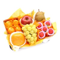 ���������ۡڤ�£���۸�ʡ�ե롼�ĥ��եȣ� ������ ���㥤��ޥ����å� �ߤ��� ��� �� ���� �ʥ������ء�