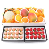 ���������ۥޥ������������ե롼�ġ�����ʪ���եȣ� ������ �������ᴻ�� �ǥ��ݥ� �ޥ�������� �ޥ󥴡� �򤤤��� �ʥ������ء�