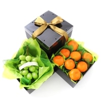 ۥ㥤ޥåȤȤߤΥե롼Ľ 㥤ޥå ߤ ʥء