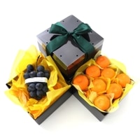 ۥʥΥѡץȤߤΥե롼Ľ ʥΥѡץ ߤ ʥء