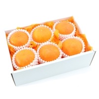 ���������۴�ʿ�ʤ���ڤ��ˡڥ����Τ���Ťߡ��ץ��ץ������ۡʾﲹ�ء�