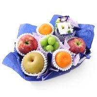 ߥե롼ĥեȣ  ե  㥤ޥå ߤ   ʥء