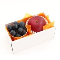 ۡȯġۼڻե롼ġ⡼륮եȣ ֤֤ɤ  ʥء