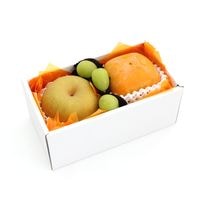 ۡȯġۼڻե롼 ⡼륮եȣ 㥤ޥå   ʥء