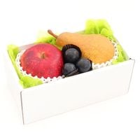 ۡȯġۼڻե롼 ⡼륮եȣ ֤֤ɤ   ʥء