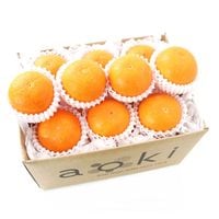 �ڿ������ò��ۡ�����ȯ���ġۡ��������ۥե롼�ĥޥ����������� ���ե��ʼ� L�������ʾ�Ȥޤɤ��2��������ե롼��ʡ�ޡʾﲹ�ء�