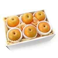 ����������ŷ���Τ����� ��� 6����  ����14�ٰʾ� ���ʼ�ʥ������ء�