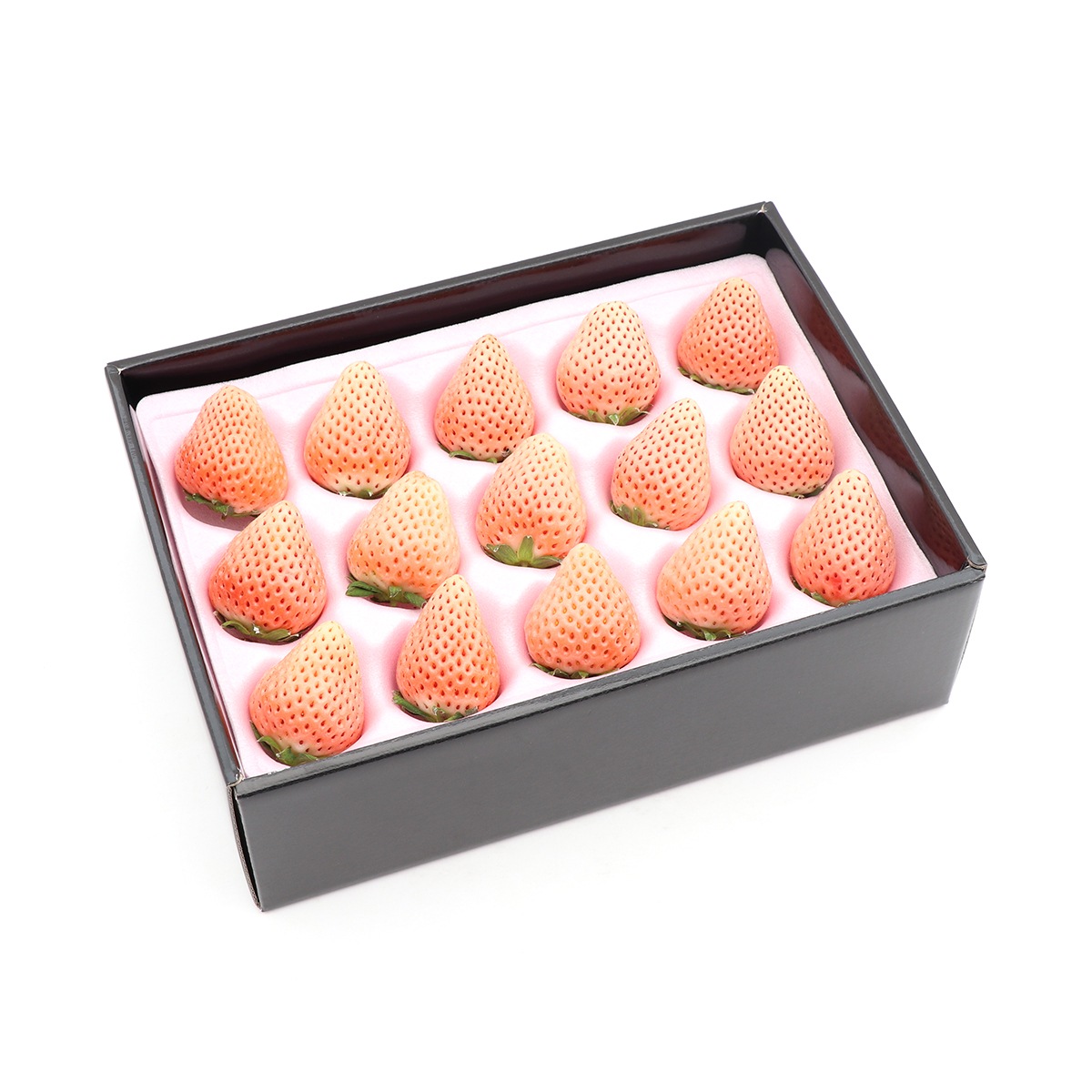 ���������ۡڤ�£�����򤤤�����ø���15��20γ���ʥ������ء�