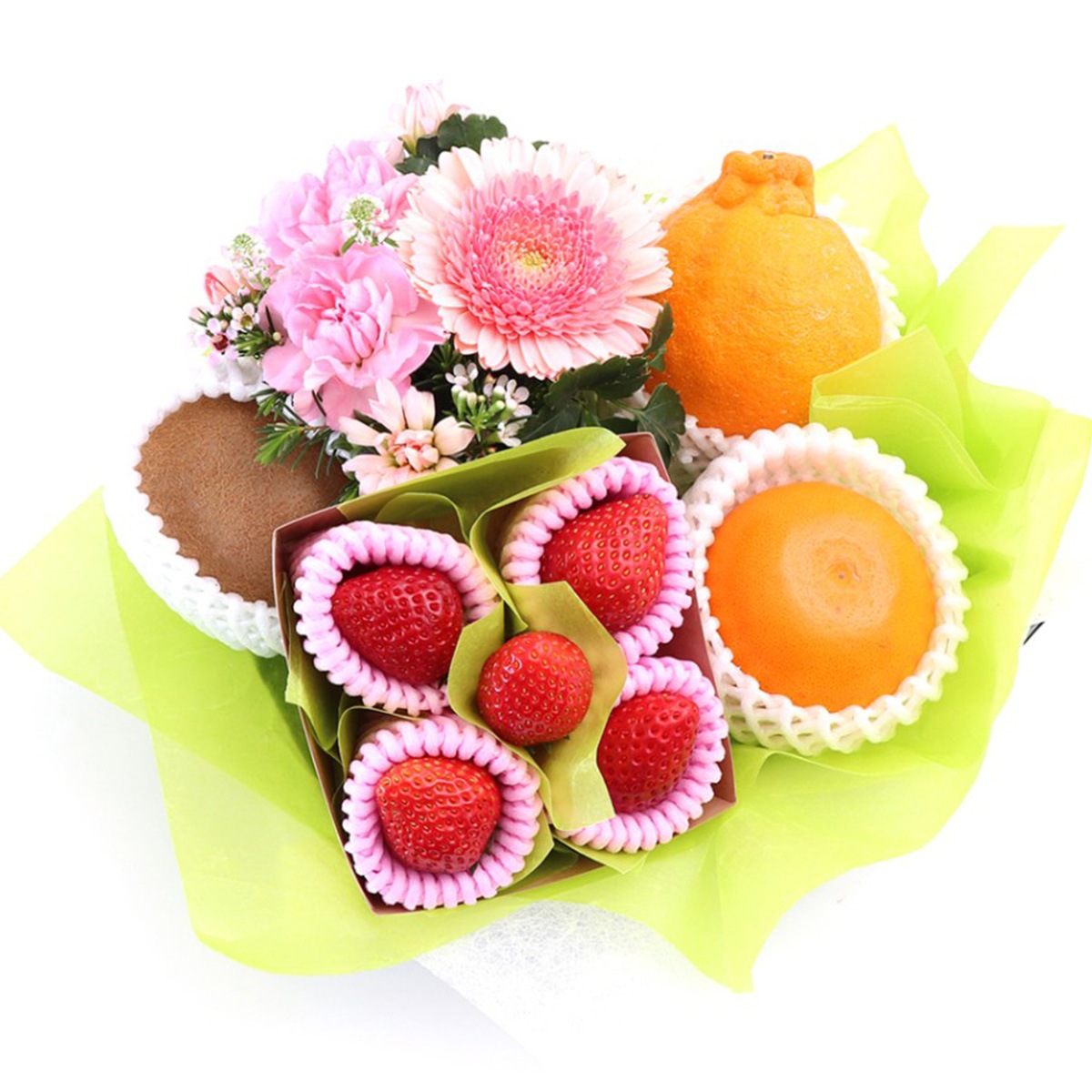 ���������۸�ʡ�ե롼�ġ��ե����ե�A [������ �������ᴻ�� ���� �������ե롼�� �ǥ��ݥ�] �ʥ������ء�