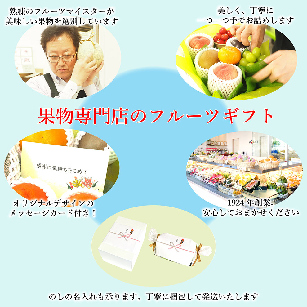 ������ȯ��OK�ۡ��������ۥʥ��Υѡ��ץ� ��˼��3L ����Ȣ�� �ʥ��Υѡ��ץ� 3L �ʥ������ء�