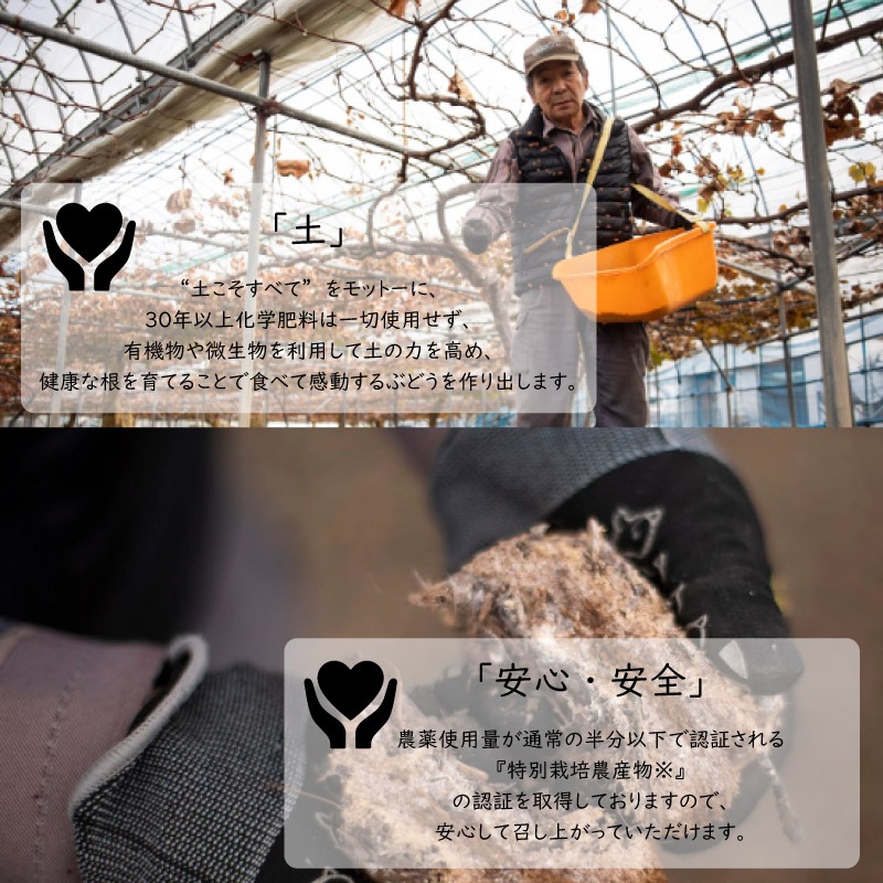 �ڿ��̸��ꡪ�����̡ߥ��㥤��ޥ����å� ���Ͳ̼��४�ꥸ�ʥ��ʼ�δ����֤ɤ� ����ͼ�̡ʤߤ椫�ˡʥ������ءˡ����ջ����Բġ�