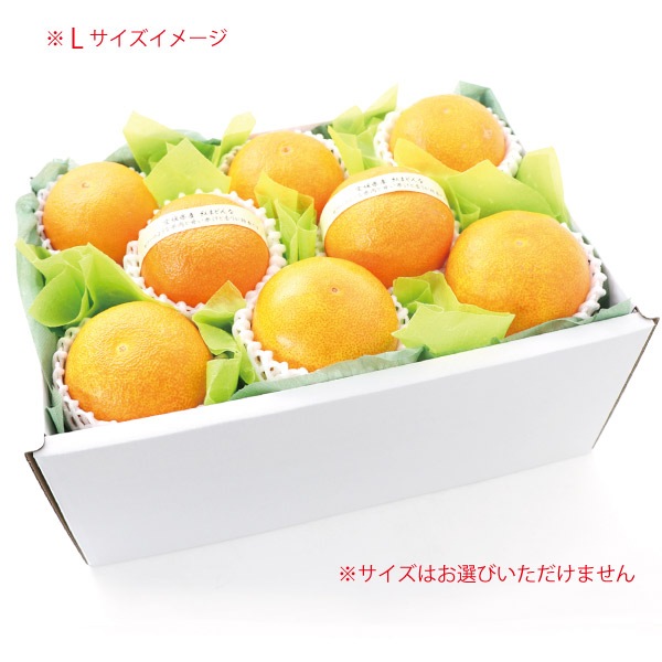 12ܤȯۡ۰ɲȤޤɤ ~L ~8 1.2kg[Ȥޤɤ]ʾﲹء ջԲġ