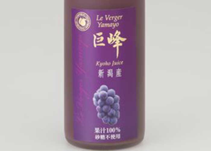  쥯ȥ졼ȥ塼500mlߣܥåȡʾﲹء