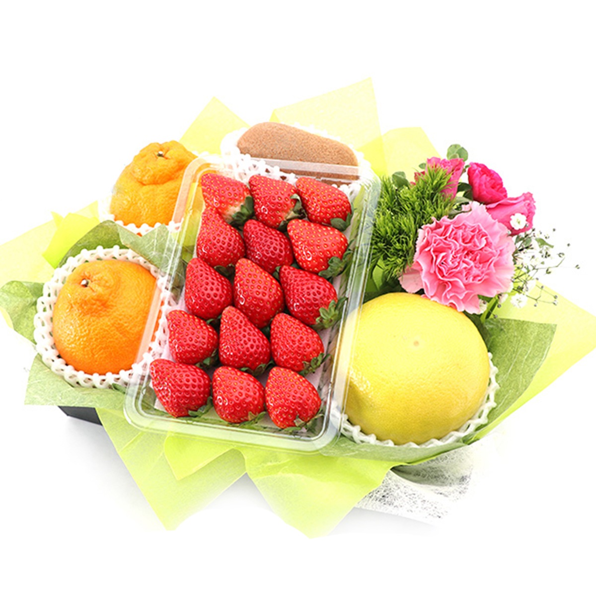 ���������۸�ʡ�ե롼�ġ��ե����եȣ� [������ ���� �������ե롼�� �ǥ��ݥ� ���������ɤޤ����������ʤ�] �ʥ������ء�