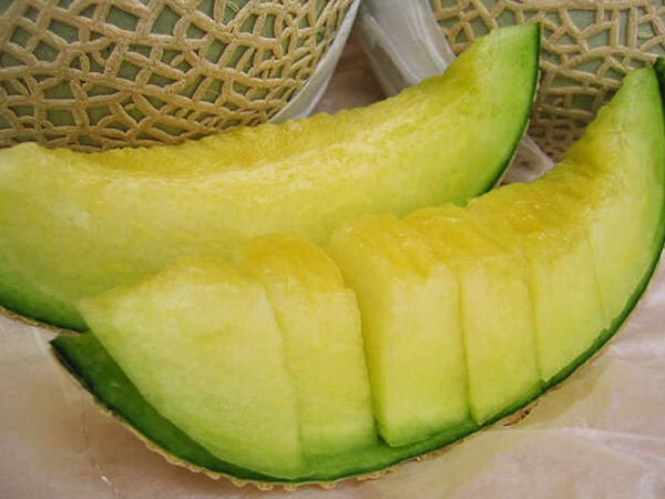 エメラルドマスクメロン 1玉 | 四季 All seasons,マスクメロン