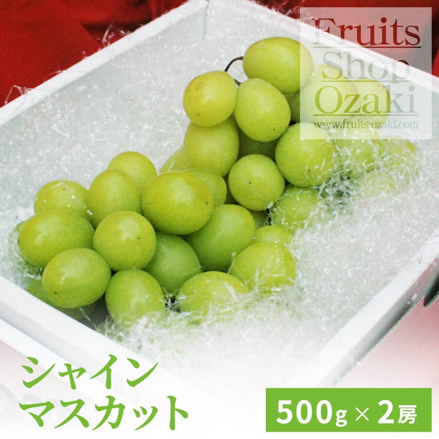 シャインマスカット大房500ｇ　２房入り