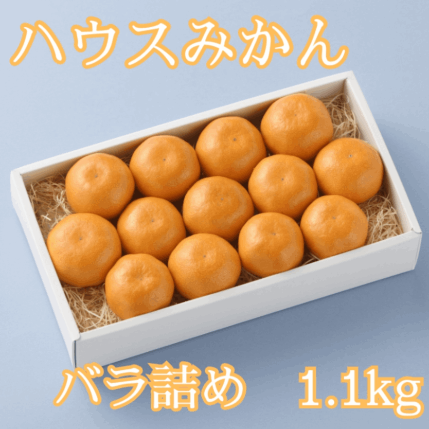 【夏ギフト】ハウスみかん1.1kg