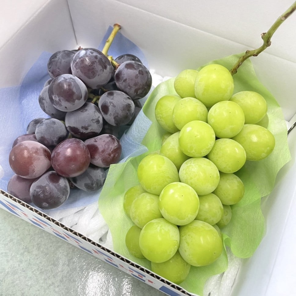 シャインマスカットとピオーネ