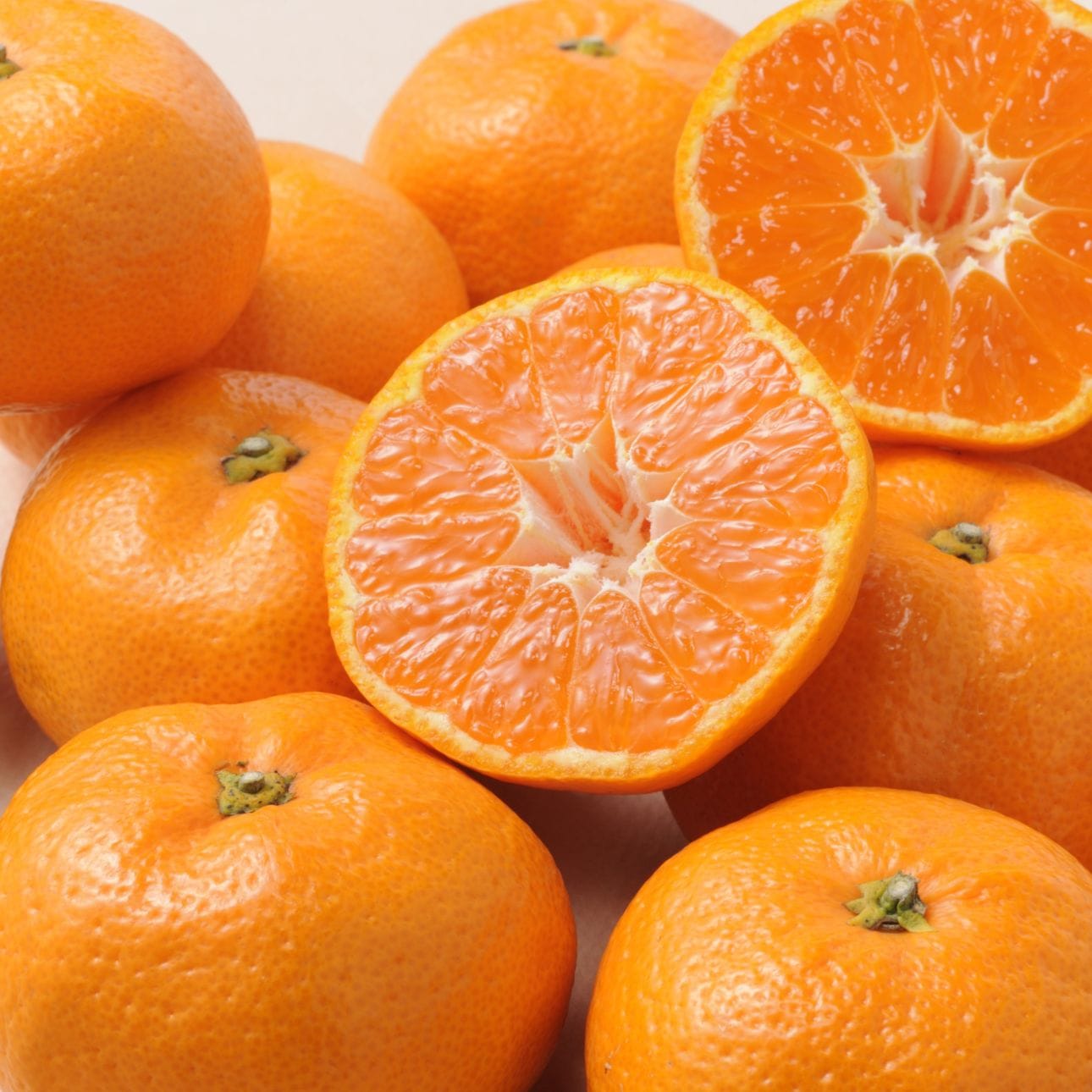 【1月販売】三ヶ日みかん青島