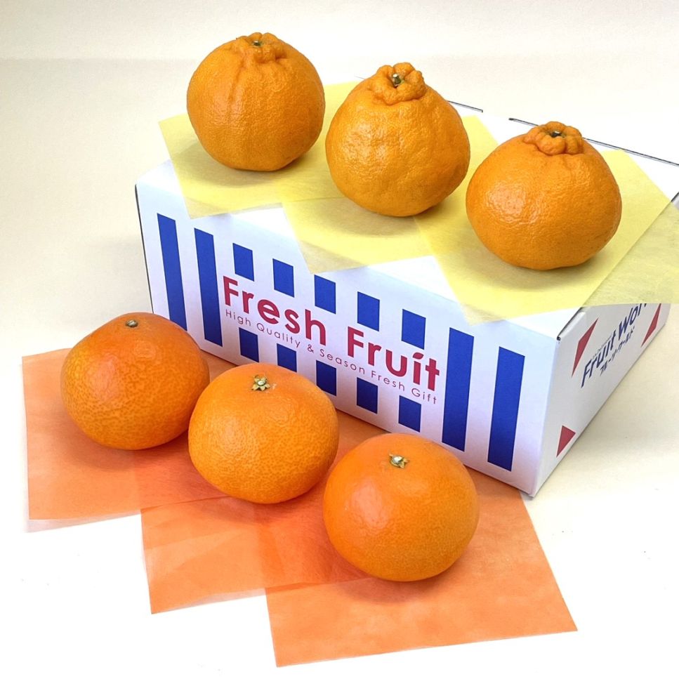 【2月3月販売】柑橘味比べ(せとか・不知火)