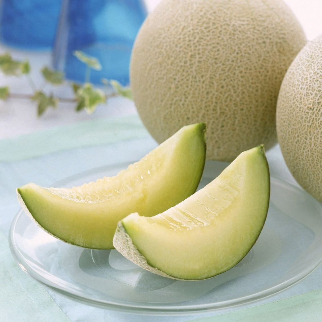 【5月6月販売】アンデスメロン