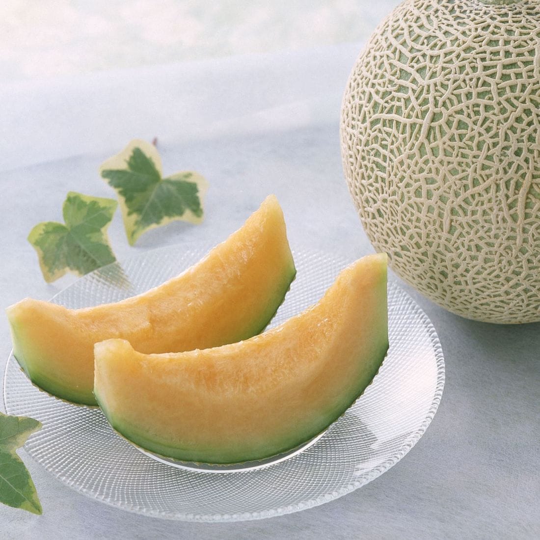 【5月6月販売】レッドメロン