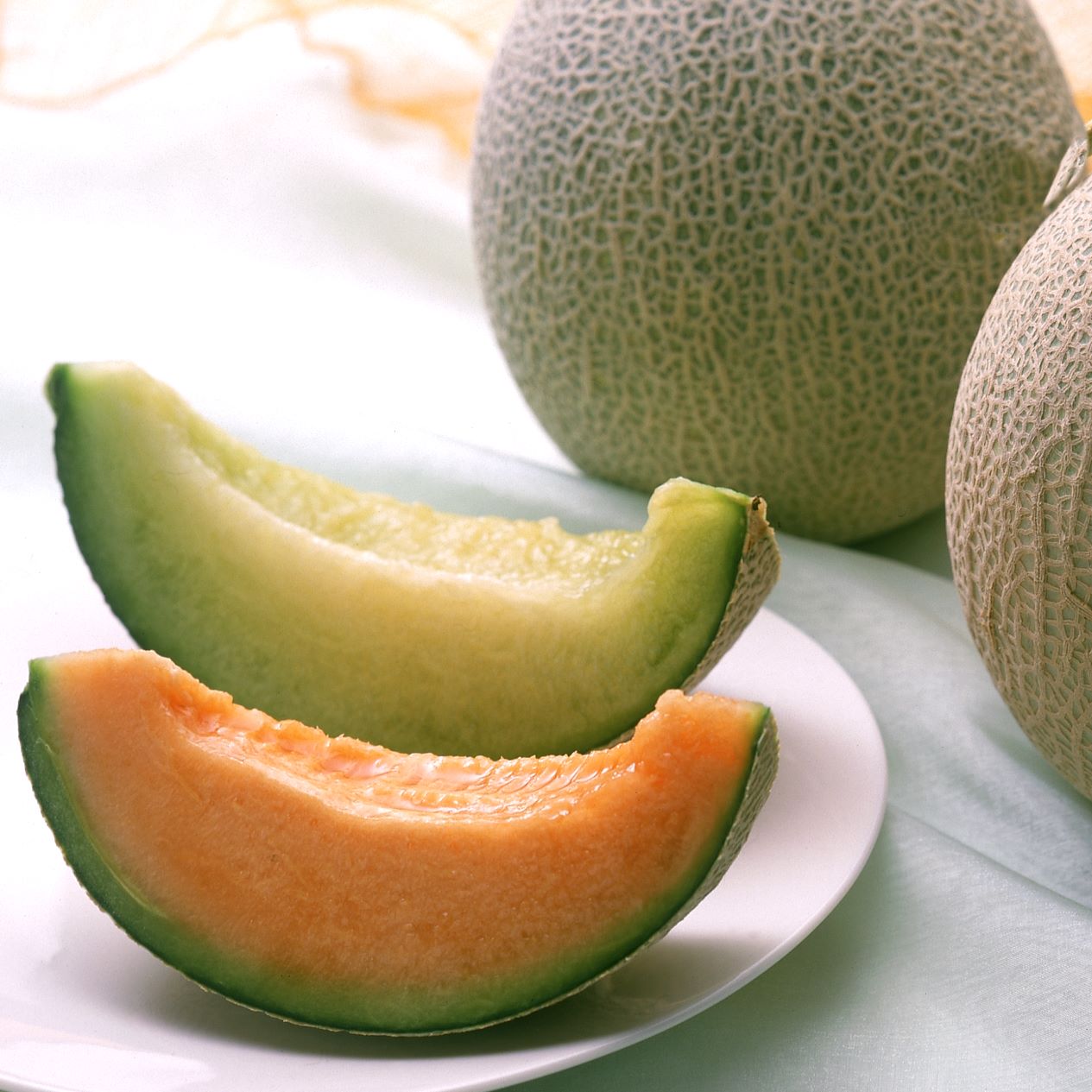 【5月6月販売】メロン味比べ