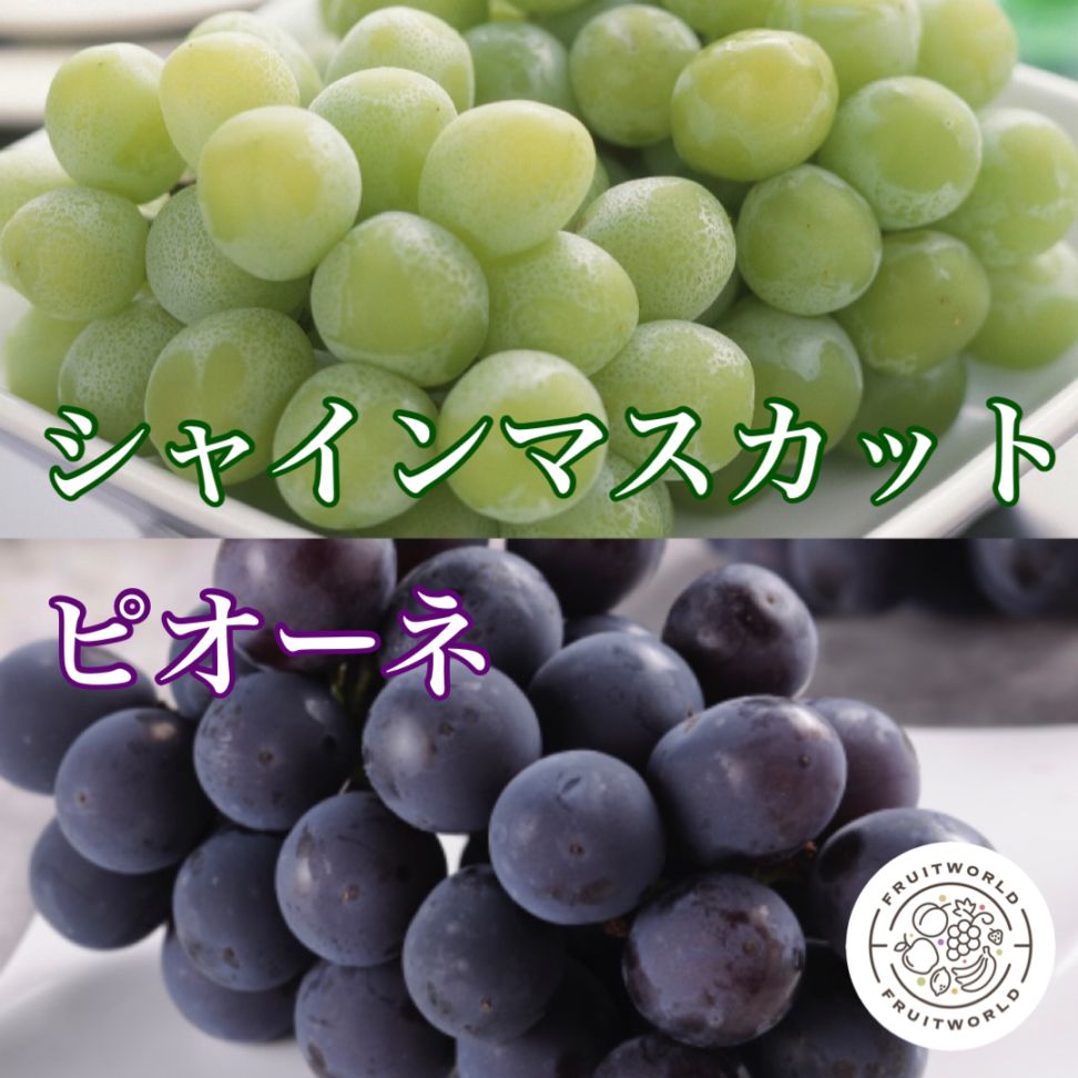 【9月販売】ピオーネとシャインマスカット詰合せ