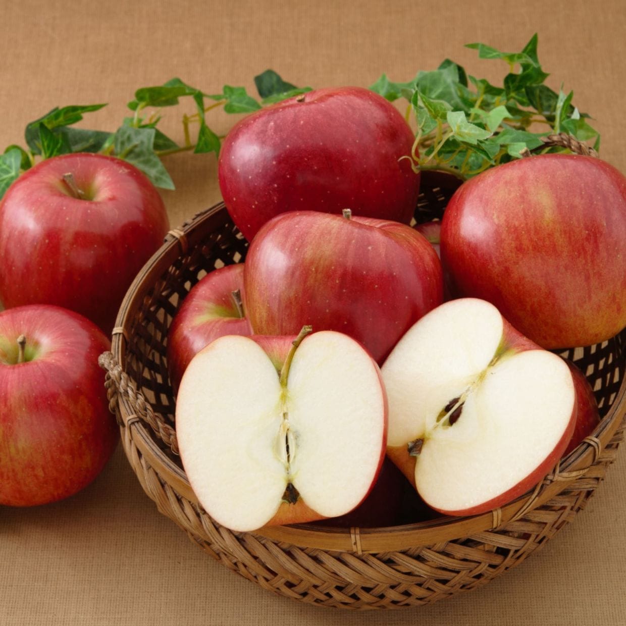 【10月販売】シナノスイート