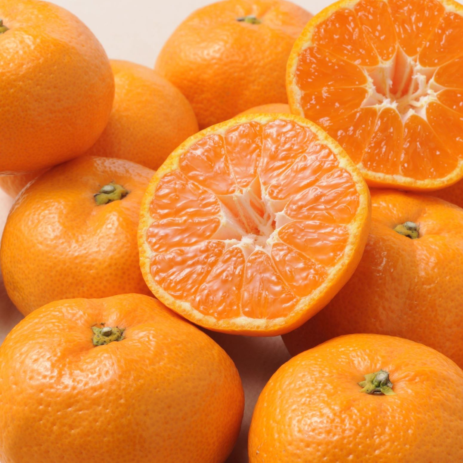 【1月販売】三ヶ日みかん青島