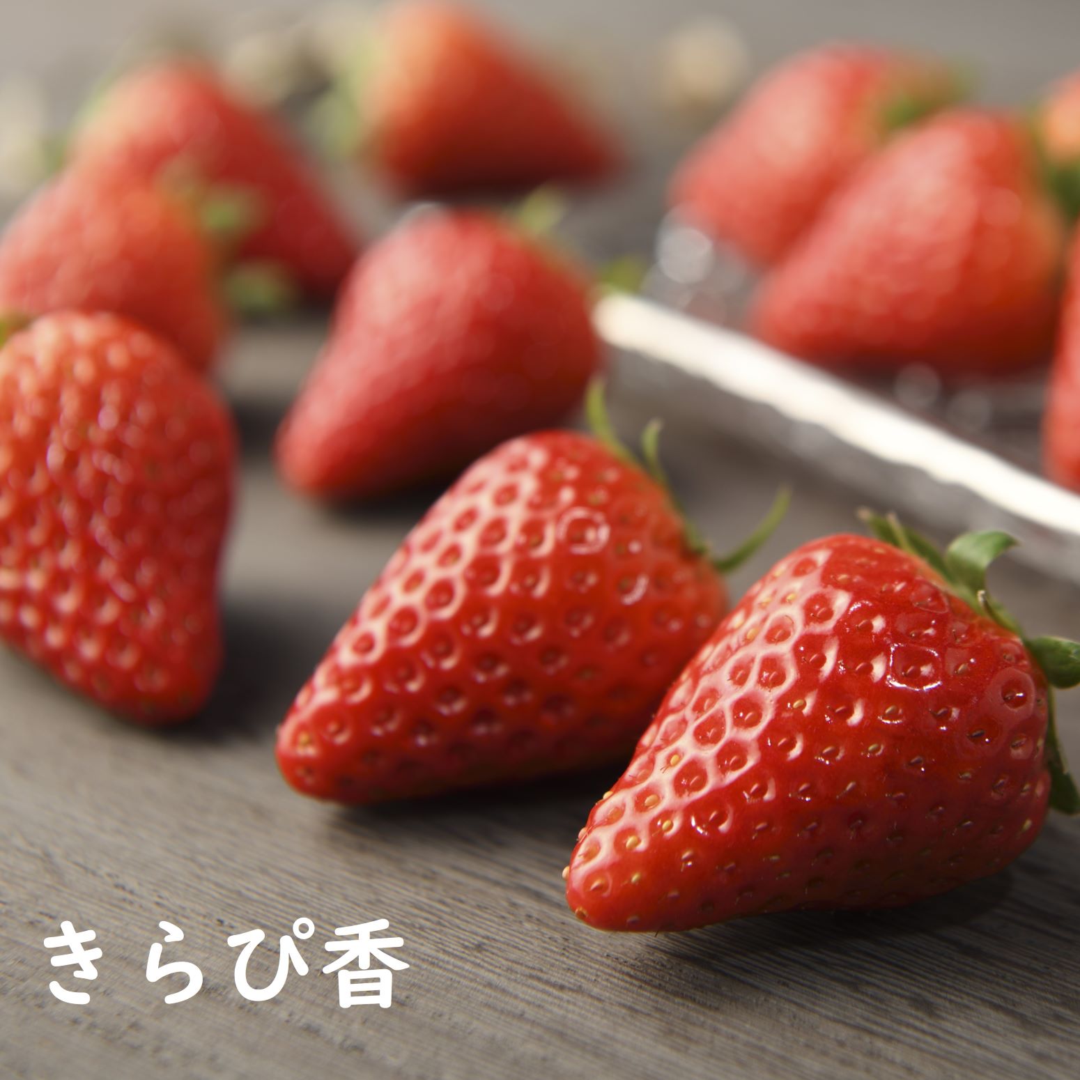 【1月2月販売】いちご味比べ