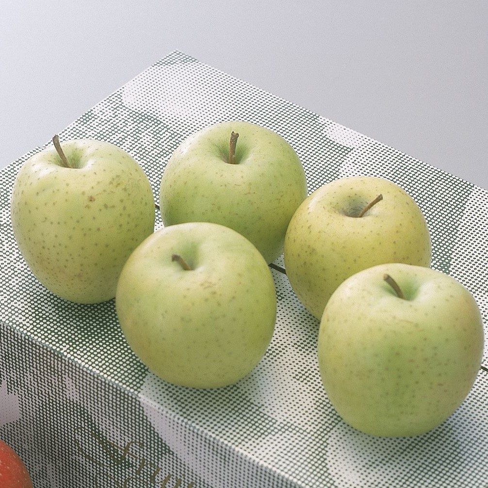 【1月2月販売】りんご味比べ