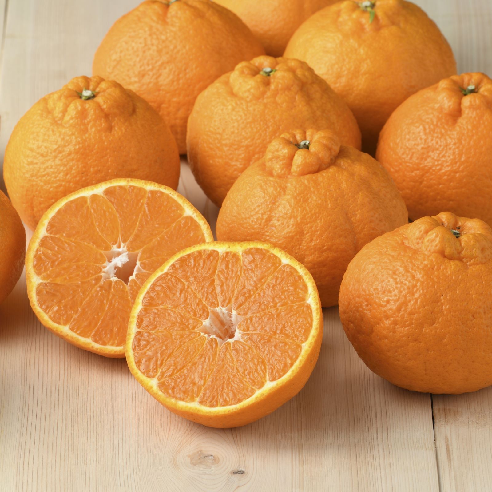 【2月3月販売】不知火