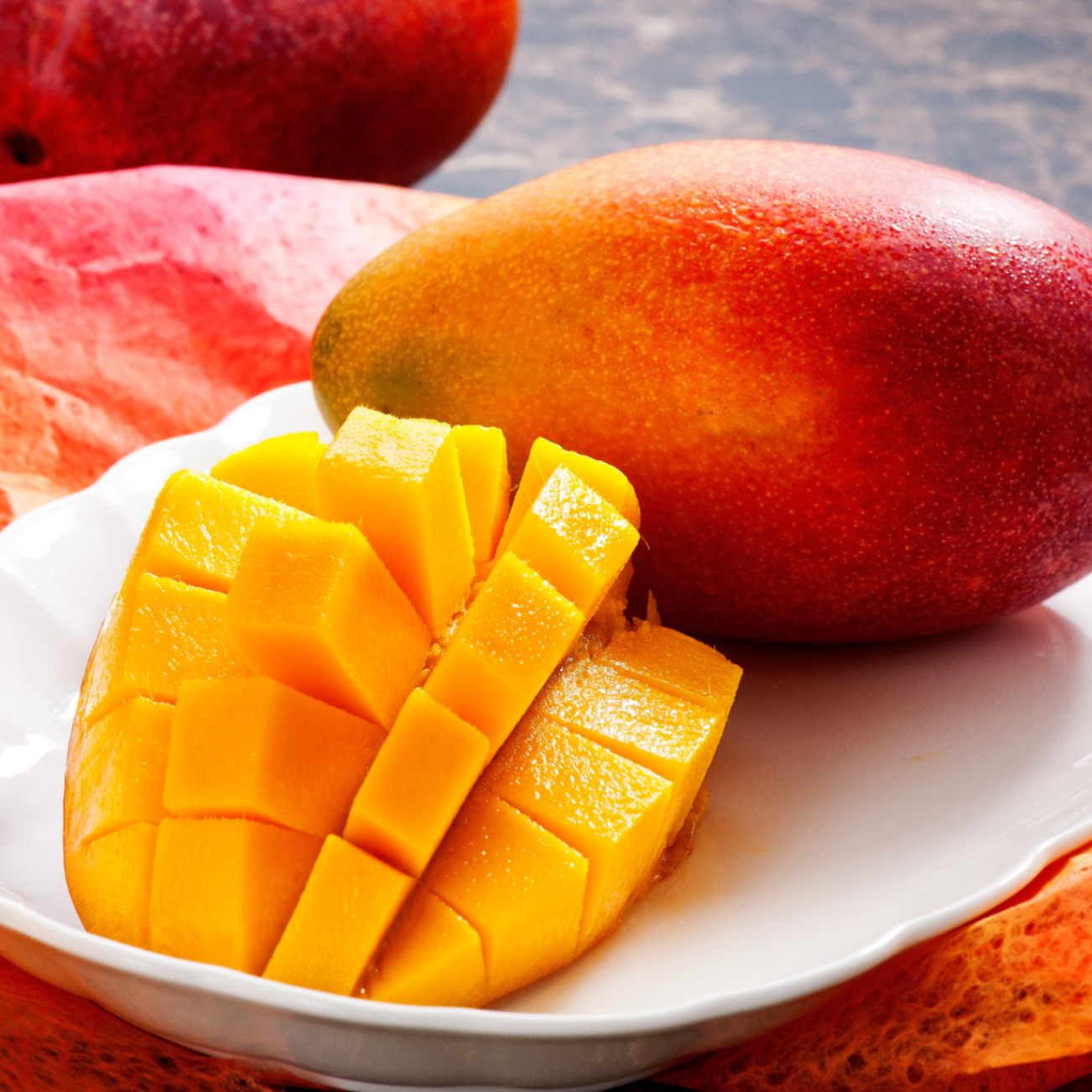 【5月6月販売】マンゴー