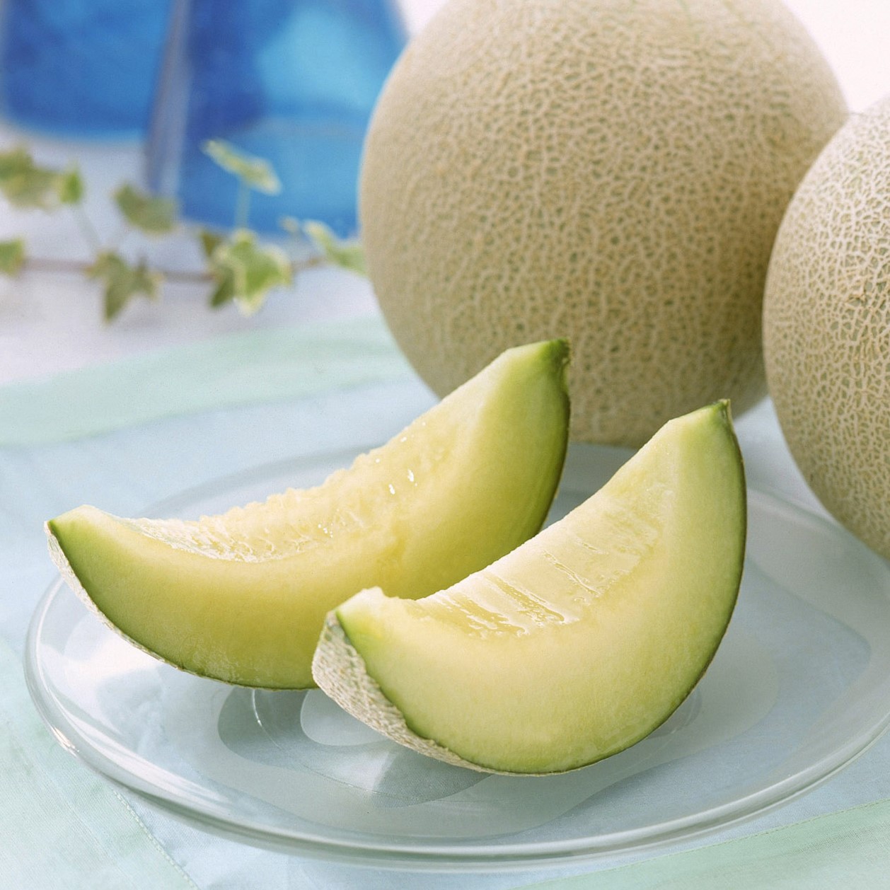 【5月6月販売】アンデスメロン