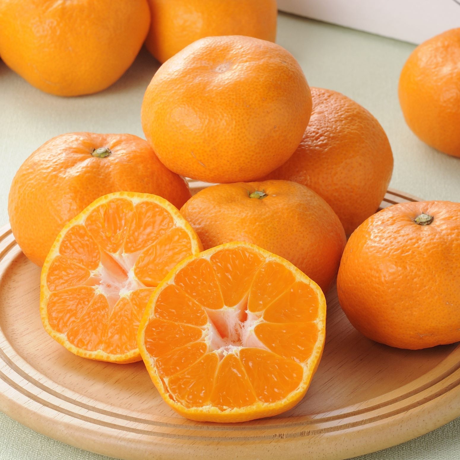 【11月販売】三ヶ日みかん早生