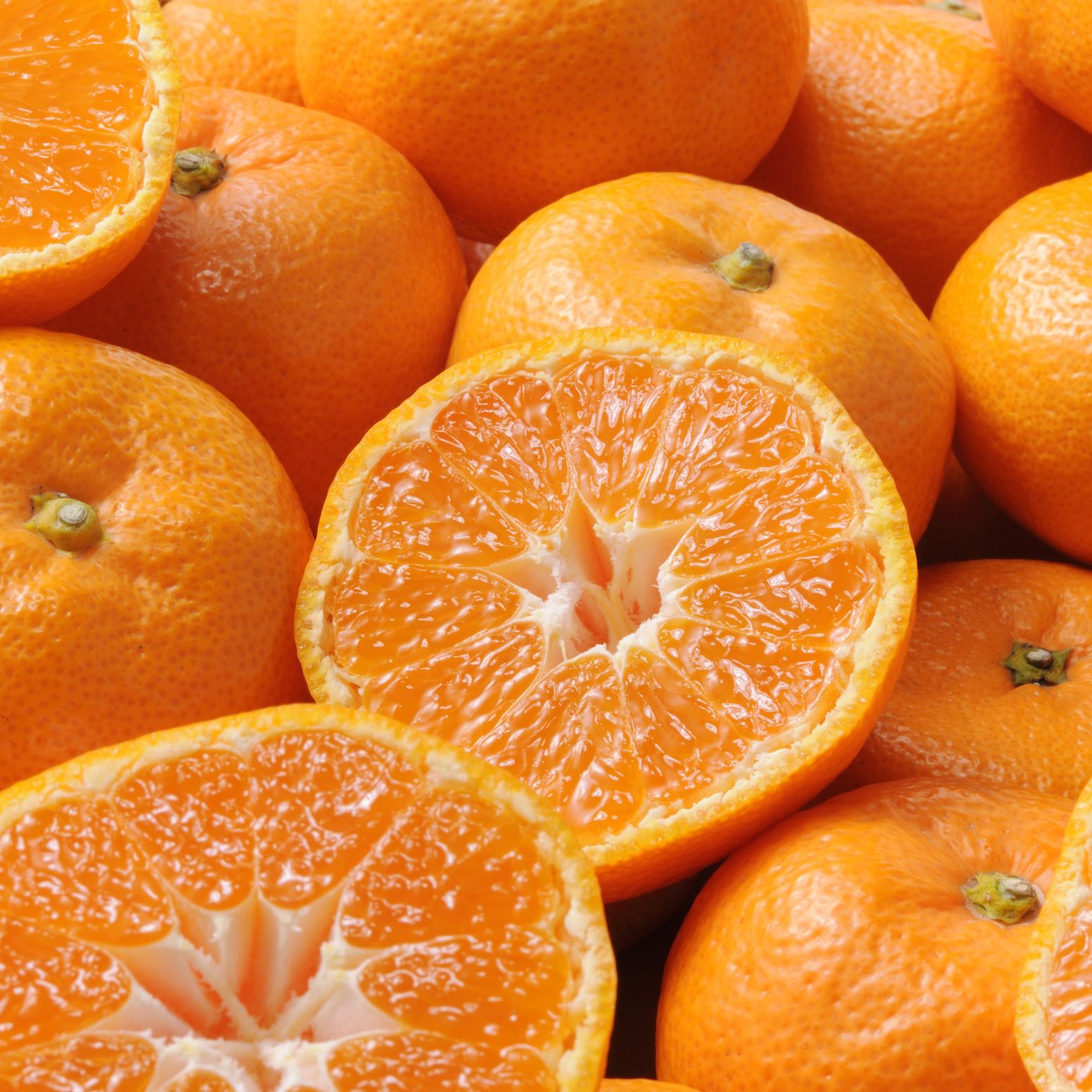 【11月販売】三ヶ日みかん早生