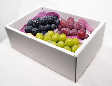 ぶどう食べ比べbox／種なし＆大粒ぶどう２種or３種