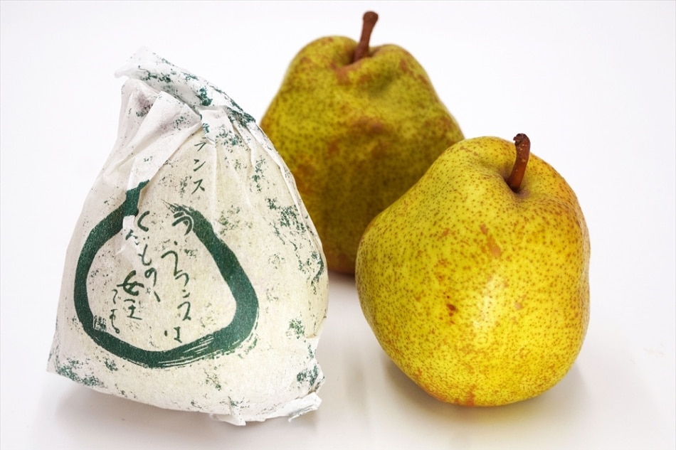 山形県天童産《スーパーラフ》山形セレクション 5kg/16～18個入