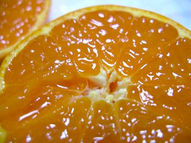 愛媛県産《小太郎みかん》袋がけ越冬完熟みかん 2kg/12個入