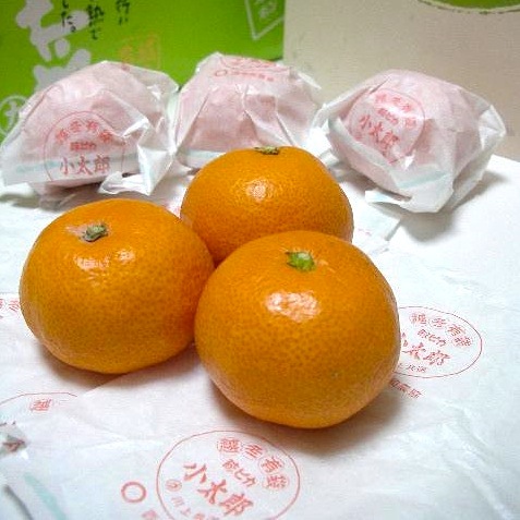 愛媛県産《小太郎みかん》袋がけ越冬完熟みかん 3kg/30個入