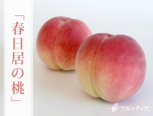山梨県産《春日居の桃》8~9個入り